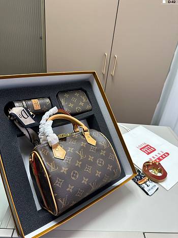 Louis Vuitton Speedy 20 and Wallet Collection