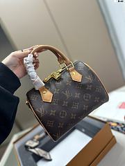 Louis Vuitton Speedy 20 and Wallet Collection - 6