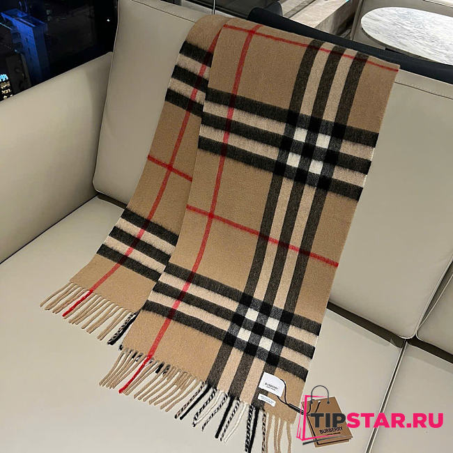 Burberry Scarf 02 - 1