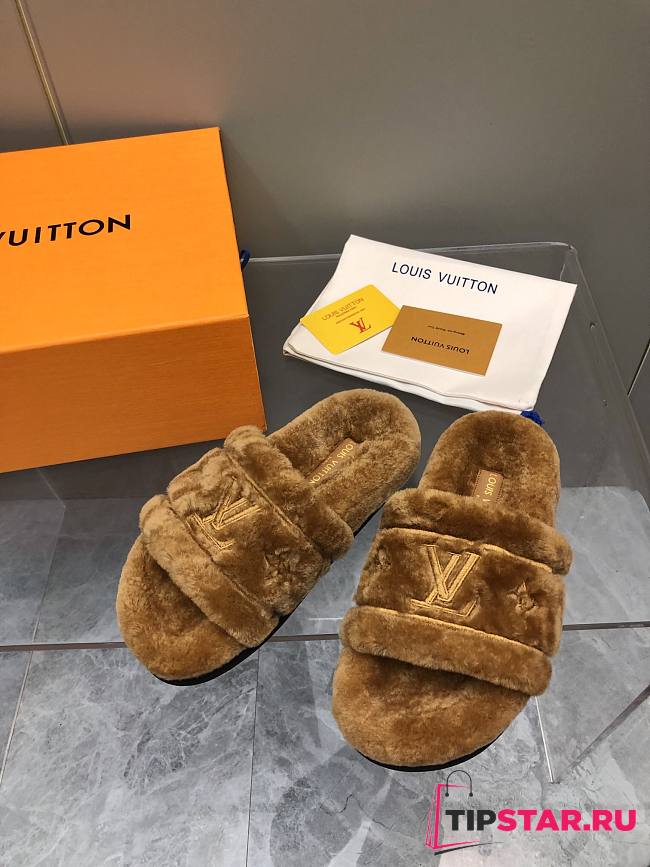 Louis Vuitton Fur Slipper In Brown - 1