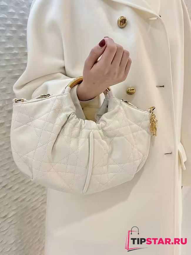 Dior Walk in Purse White Macrocannage Calfskin - 1