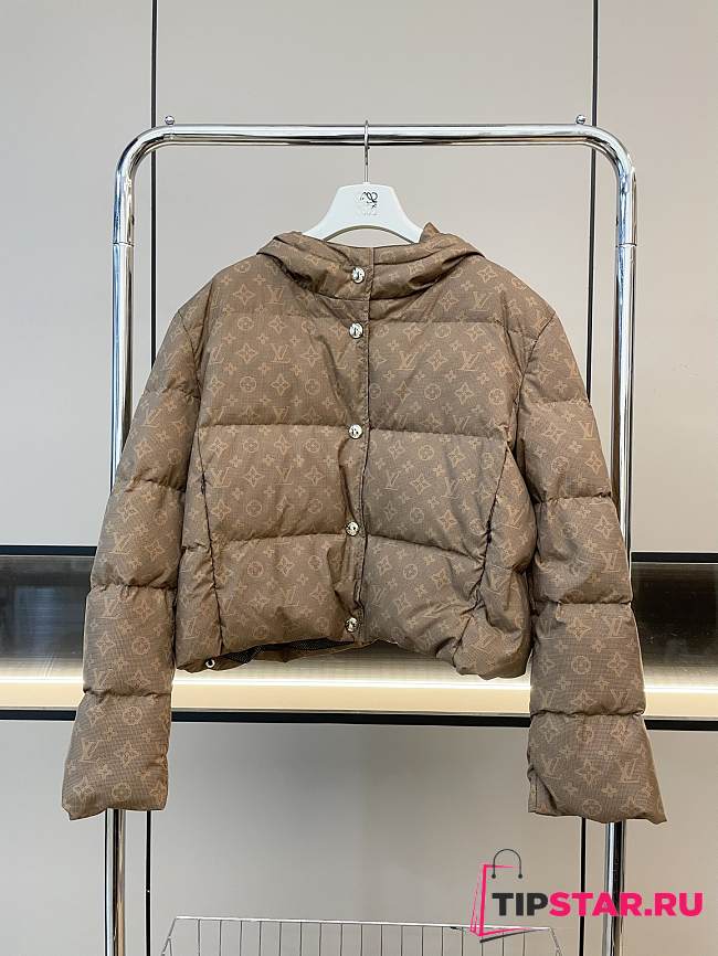 Louis Vuitton Short Down Jacket In Brown - 1