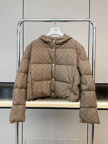 Louis Vuitton Short Down Jacket In Brown