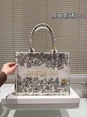 Dior Large Book Tote Latte Embroidery with Gold-Tone  - 1