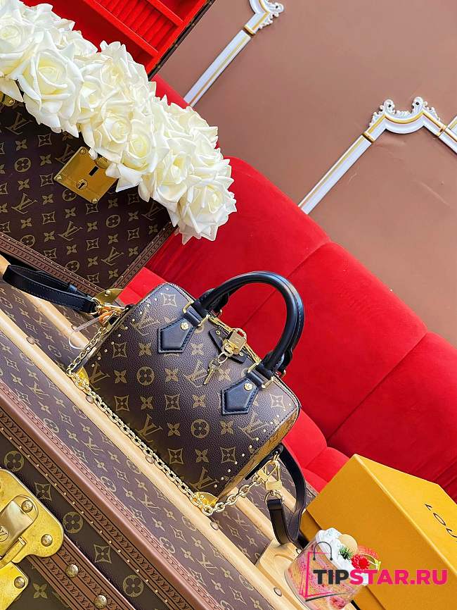 Louis Vuitton Speedy Trunk 20 Monogram canvas - 1