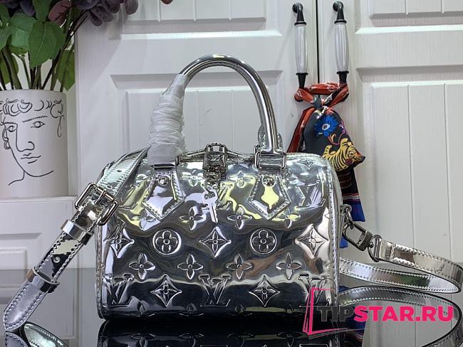 Louis Vuitton Speedy Bandoulière 20 Silver - 1