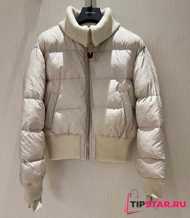 Louis Vuitton Down Jacket Monogram In Light Pink - 1