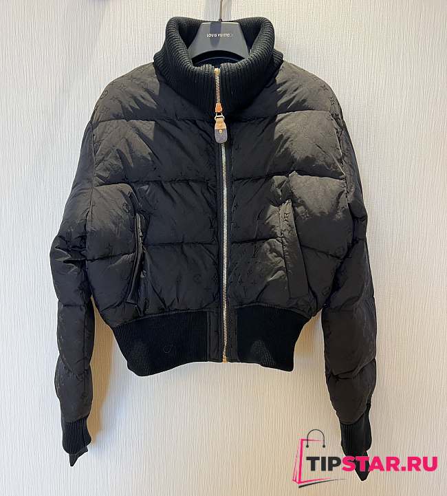 Louis Vuitton Down Jacket Monogram In Black - 1