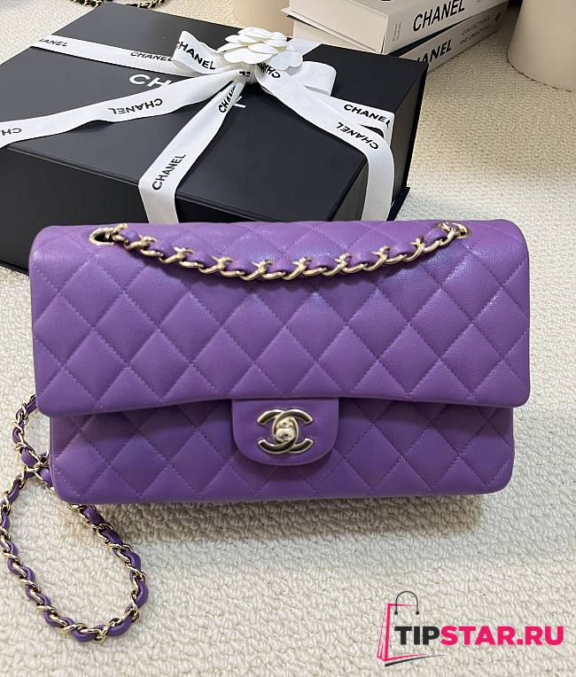 Chanel Classic Flap Bag Caviar In Purple Color - 1