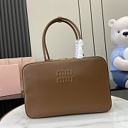 Miumiu ARCADIE leather bag in brown - 1