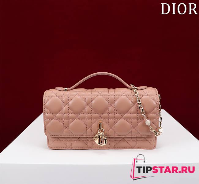 Dior My Dior Mini Bag Rose des Vents Cannage Lambskin - 1