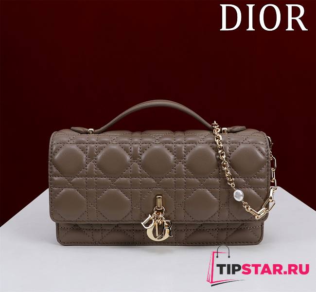 Dior My Dior Mini Bag Dark Brown Cannage Lambskin - 1