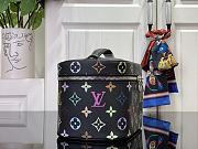 Louis Vuitton Monogram Nice BB Bag - 4