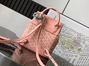 Goyard Alpin Backpack Coated Canvas Pink - 6