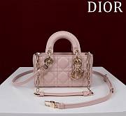 Dior Lady d-joy-micro Leather with Velvet light pink - 1