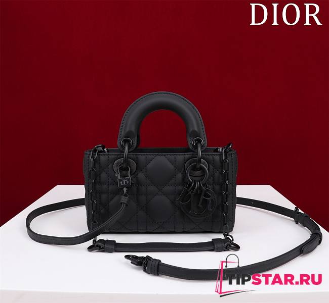 Dior Lady d-joy-micro Leather with Velvet black - 1