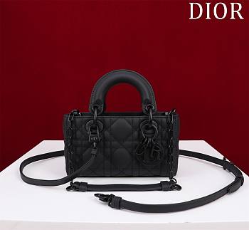 Dior Lady d-joy-micro Leather with Velvet black