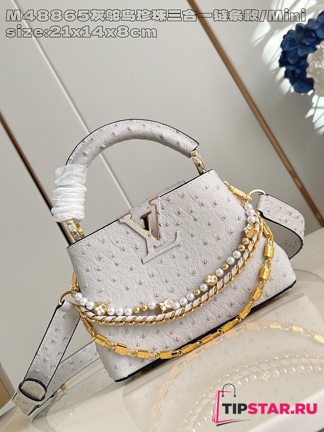 Louis Vuitton Capucines mini Trilogy Taurillon In White - 1