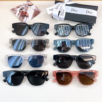 Dior Sunglasses Oblique S1F