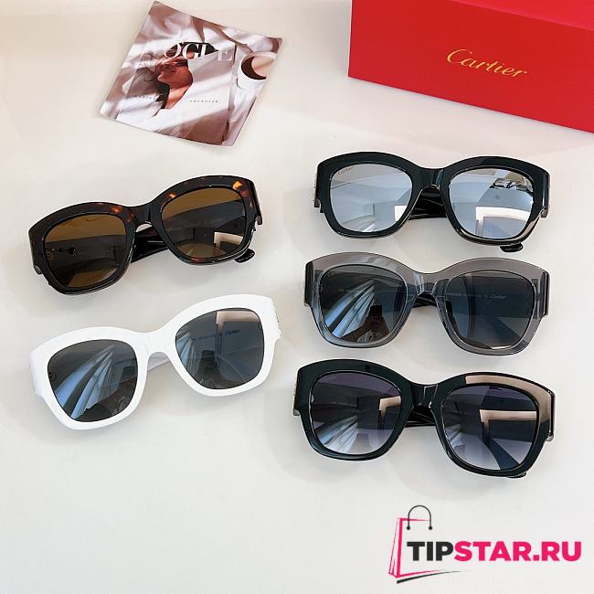 Cartier Sunglasses ESW00568 - 1