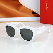 Cartier Sunglasses ESW00568 - 6