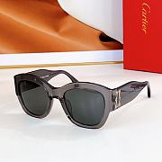 Cartier Sunglasses ESW00568 - 5