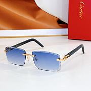 Cartier Sunglasses TF5961T - 6