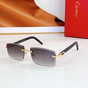 Cartier Sunglasses TF5961T - 3