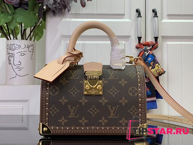 Louis Vuitton Speedy Trunk 20 Monogram Iconic M11154 - 1