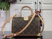 Louis Vuitton Speedy Trunk 20 Monogram Iconic M11154 - 6