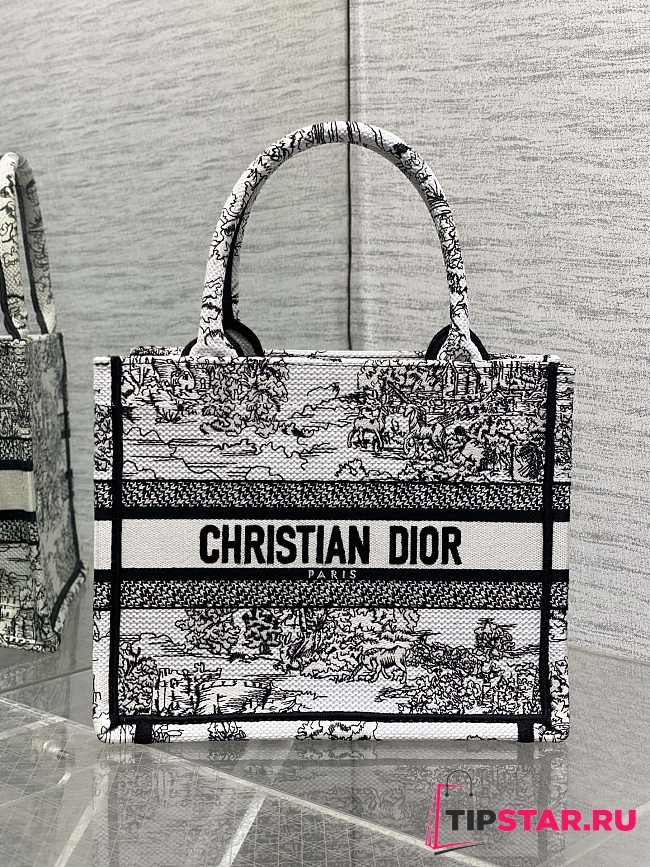 Dior Small Book Tote Around the world - 1