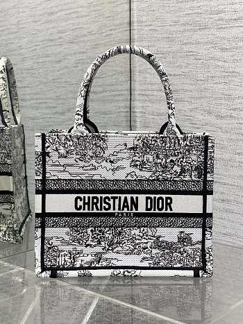 Dior Small Book Tote Around the world