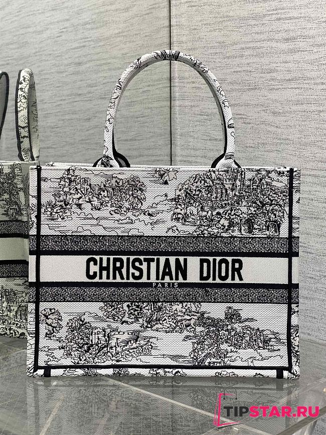 Dior Medium Book Tote Around the world - 1