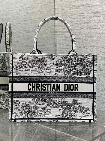 Dior Medium Book Tote Around the world