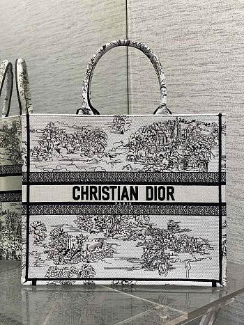 Dior Large Book Tote Around the world