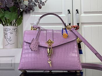 Louis Vuitton Des Vent In Rose N84713