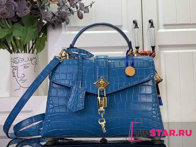 Louis Vuitton Des Vent In Blue N84713 - 1