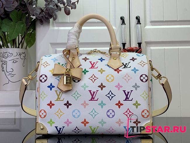 LV x TM Speedy Bandoulière 25 Other Monogram Canvas - 1