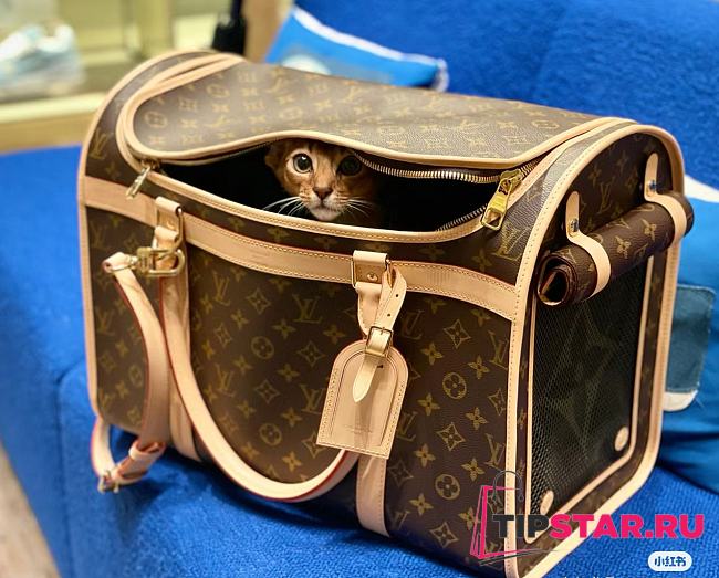 Louis Vuitton Dog Bag Monogram coated canvas M45662 - 1