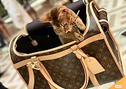 Louis Vuitton Dog Bag Monogram coated canvas M45662 - 4