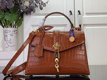 Louis Vuitton Des Vent In Brown N84713