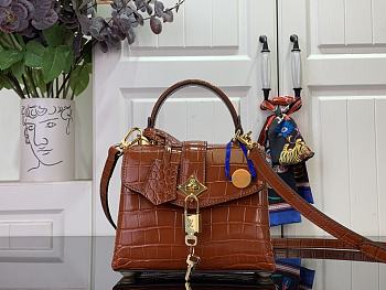 Louis Vuitton Des Vents Mini In Brown N84713