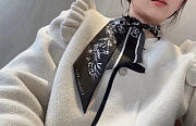 Dior latest double-layer scarf 01 - 1