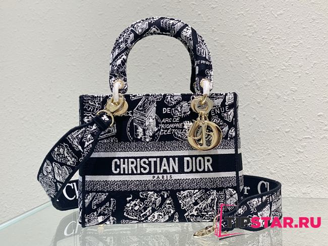 Dior Medium Lady D-Lite Plan de Paris Black - 1