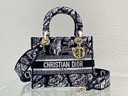 Dior Medium Lady D-Lite Plan de Paris Black - 1