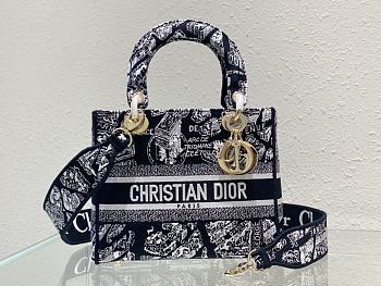 Dior Medium Lady D-Lite Plan de Paris Black