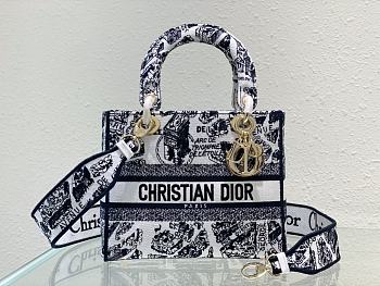 Dior Medium Lady D-Lite Plan de Paris