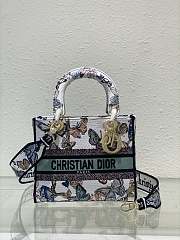 Dior Autumn and winter series of five-grid Lady embroidery green - 1