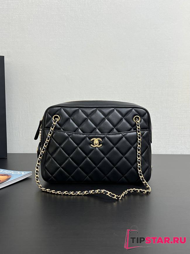 Chanel Gold Coin Microbadge camera bag - 1