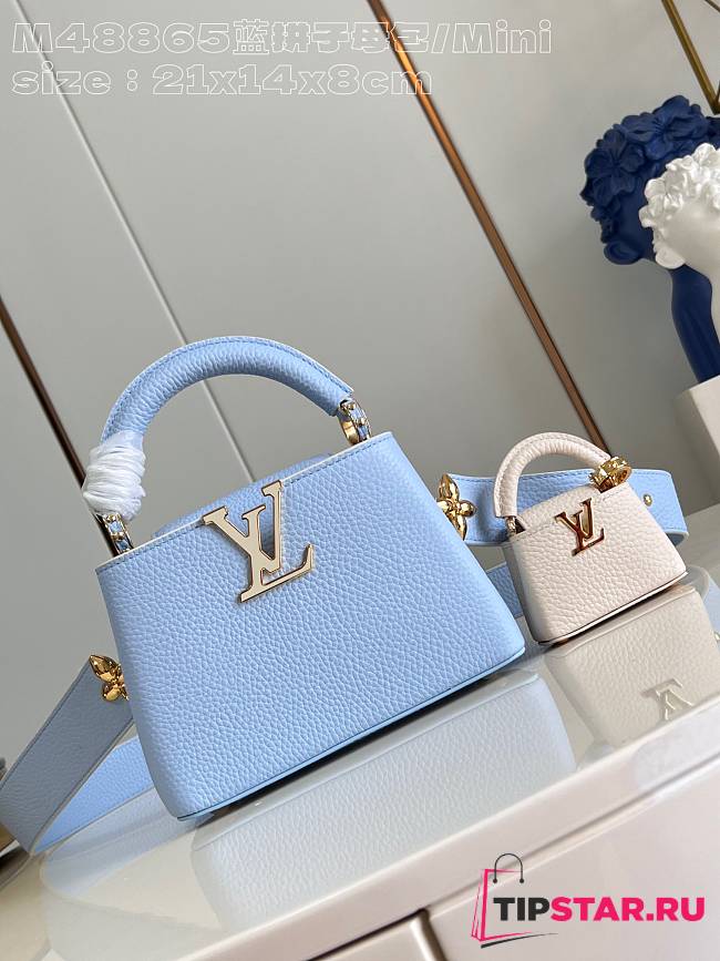 Louis Vuitton Capucines Mini Taurillon Leather In Blue M48865 - 1